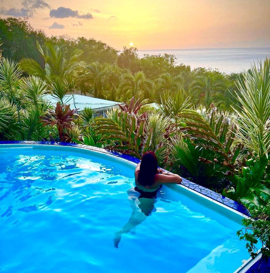 Vue Mer/3Beds/Piscine/Wifi/900 Metres De La Plage Deshaies Luaran gambar