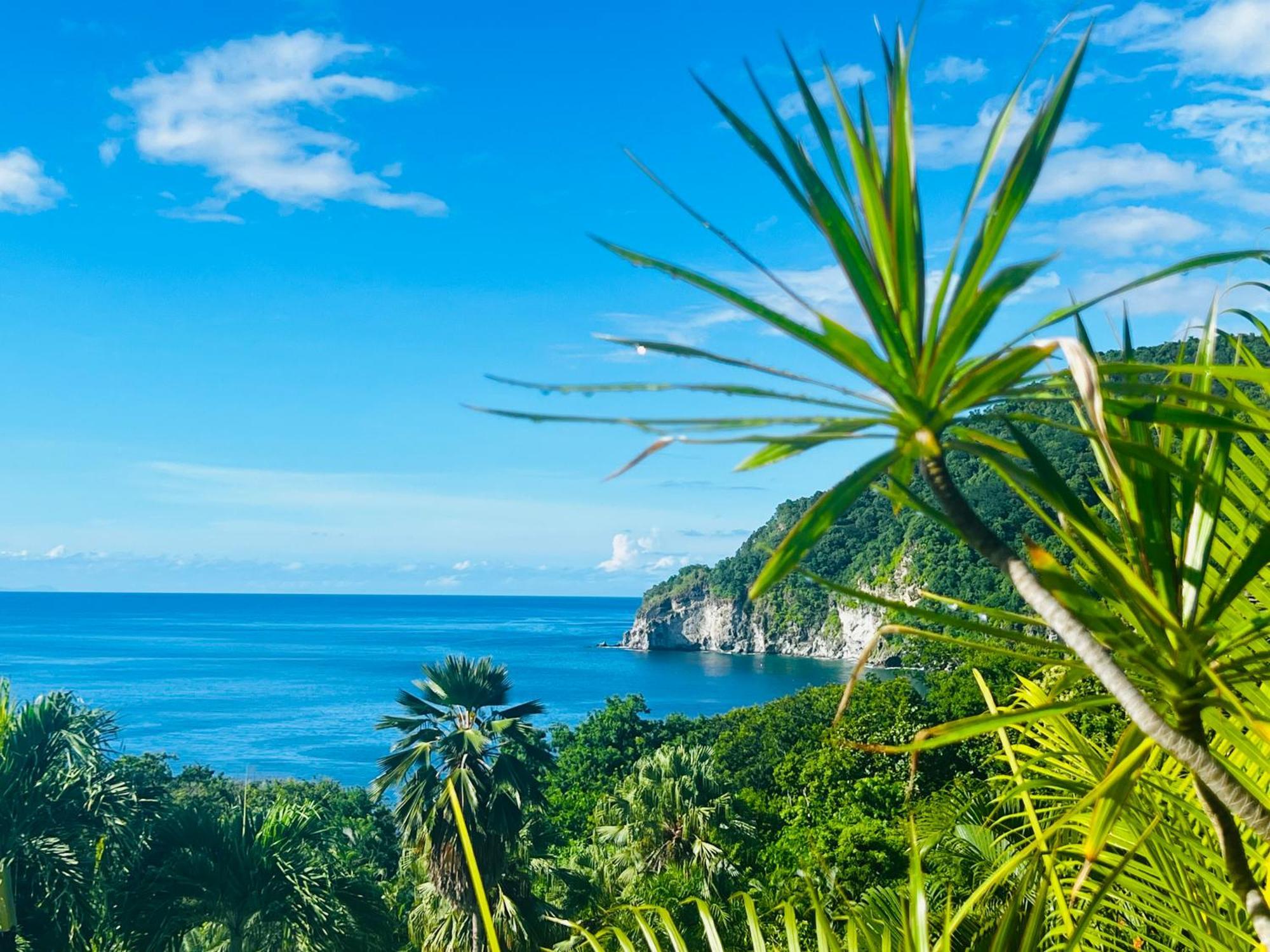 Vue Mer/3Beds/Piscine/Wifi/900 Metres De La Plage Deshaies Luaran gambar